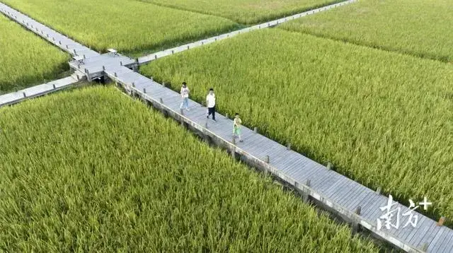 红尘中，四季更迭，生命轮回，时光流转。天地相遇，山河永恒。(图4)