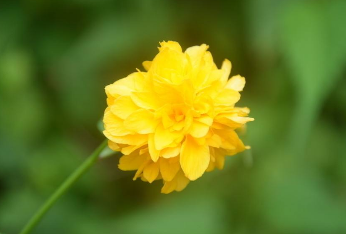 红尘滚滚看破放下，知因懂果，永断轮回(图1)