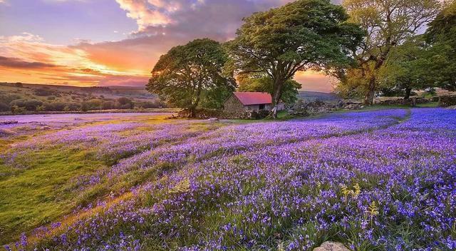 红尘滚滚看破放下，知因懂果，永断轮回(图2)