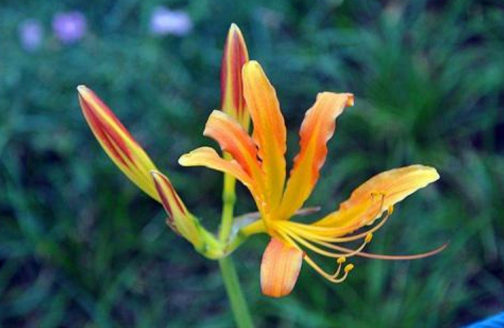 红尘滚滚看破放下，知因懂果，永断轮回(图3)