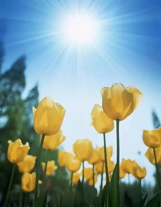 时光染香，梦在远方，愿你不负韶华，依梦而行(图2)