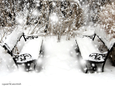 心里托起那一片一片雪花【散文】(图1)