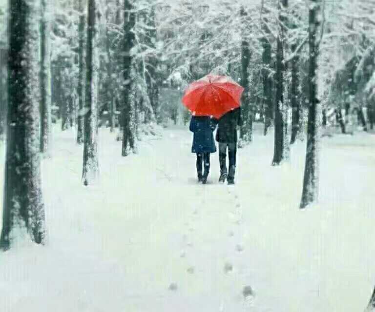 心里托起那一片一片雪花【散文】(图3)