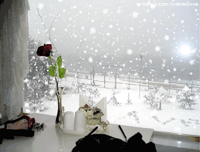 心里托起那一片一片雪花【散文】(图4)