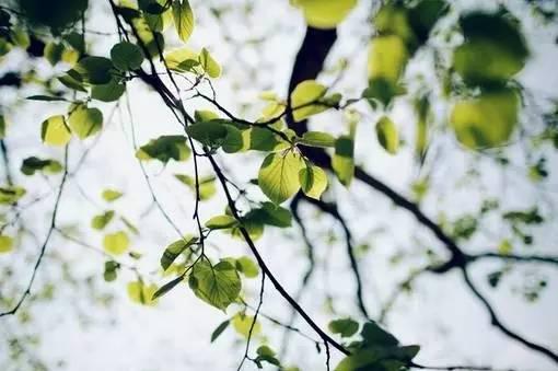 改变自己走向成功有哲理励志句子25个(图1) 改变自己走向成功有哲理励志句子25个(图1)