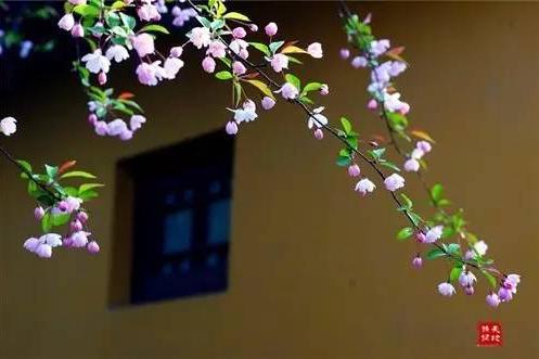 改变自己走向成功有哲理励志句子25个(图3) 改变自己走向成功有哲理励志句子25个(图3)