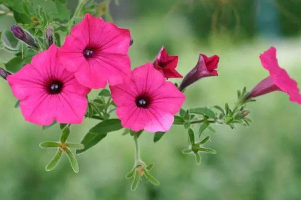 改变自己走向成功有哲理励志句子25个(图4) 改变自己走向成功有哲理励志句子25个(图4)