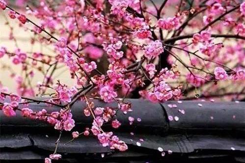 改变自己走向成功有哲理励志句子25个(图5) 改变自己走向成功有哲理励志句子25个(图5)