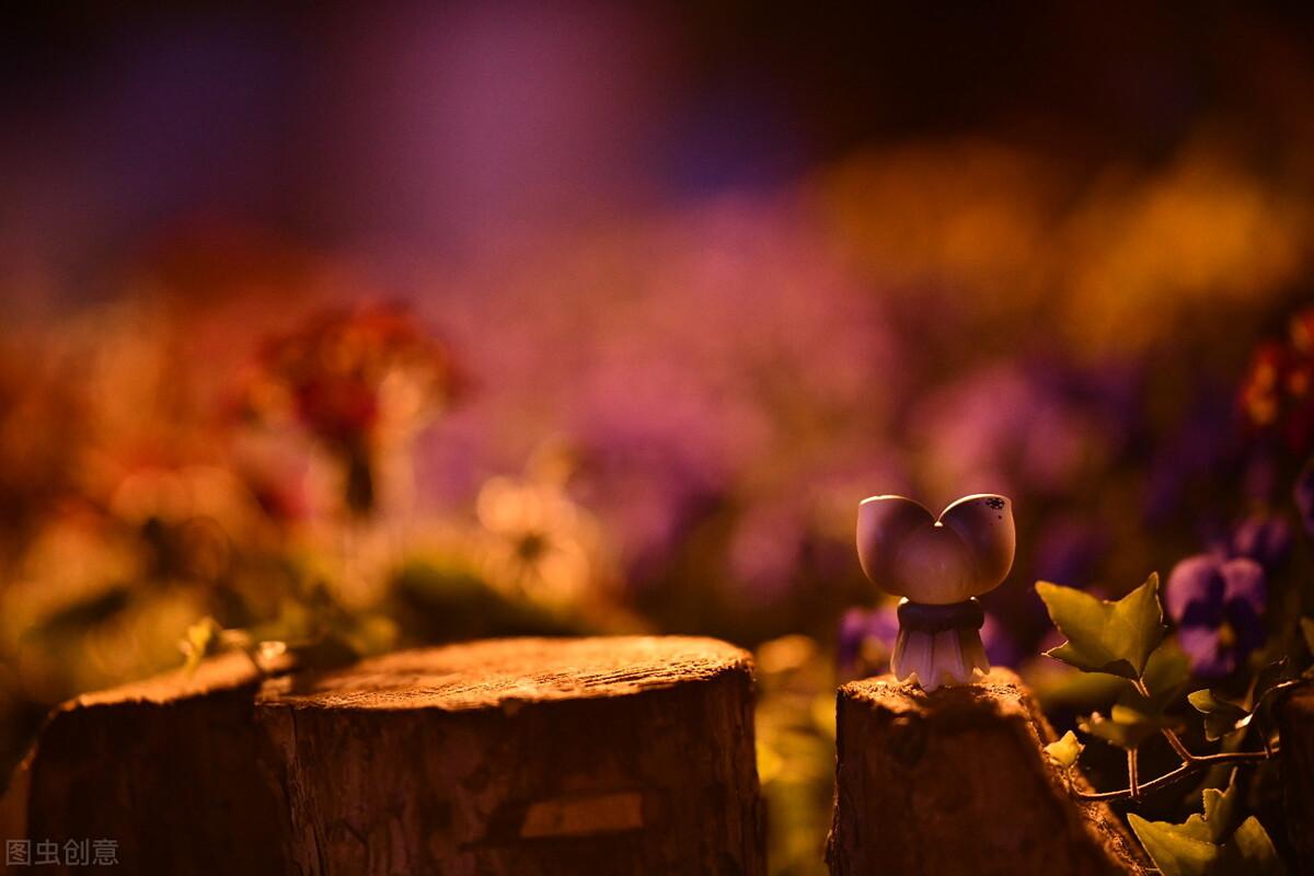 清新干净的精选句子，送给为梦想打拼的人(图1)