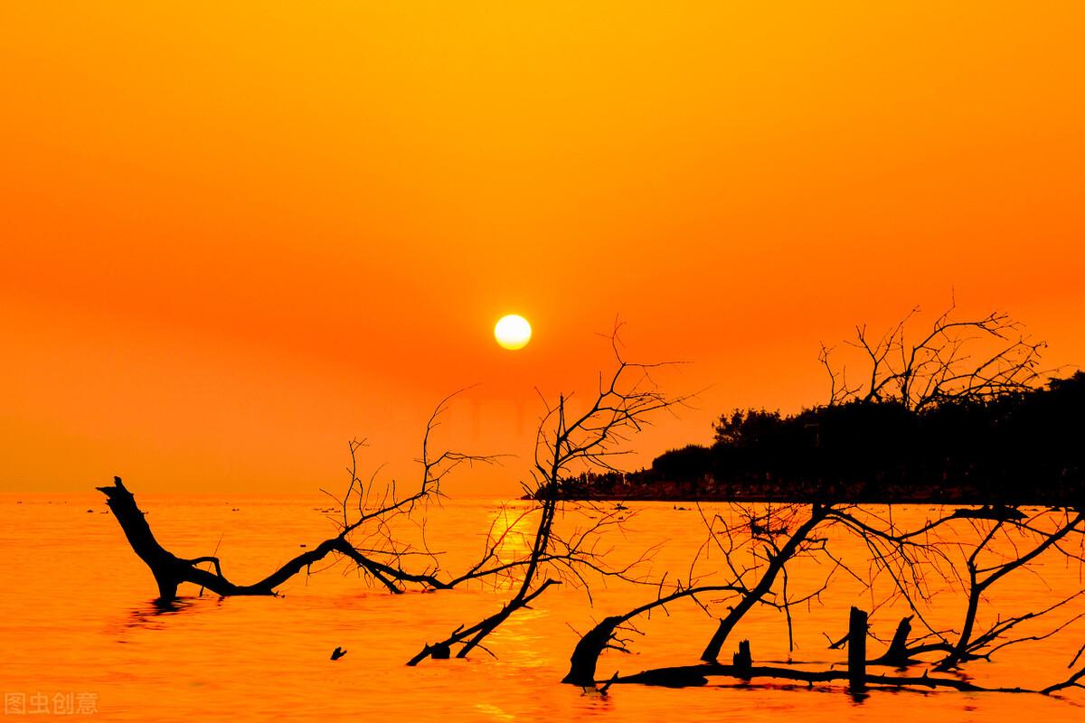 清新干净的精选句子，送给为梦想打拼的人(图2)