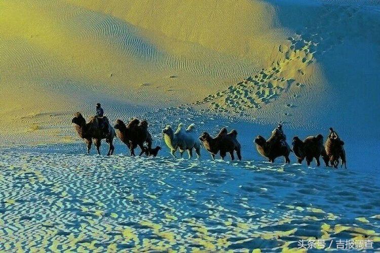 大漠孤烟，黄沙如泻，残阳如血，荒漠之舟在傲视群雄……(图1)