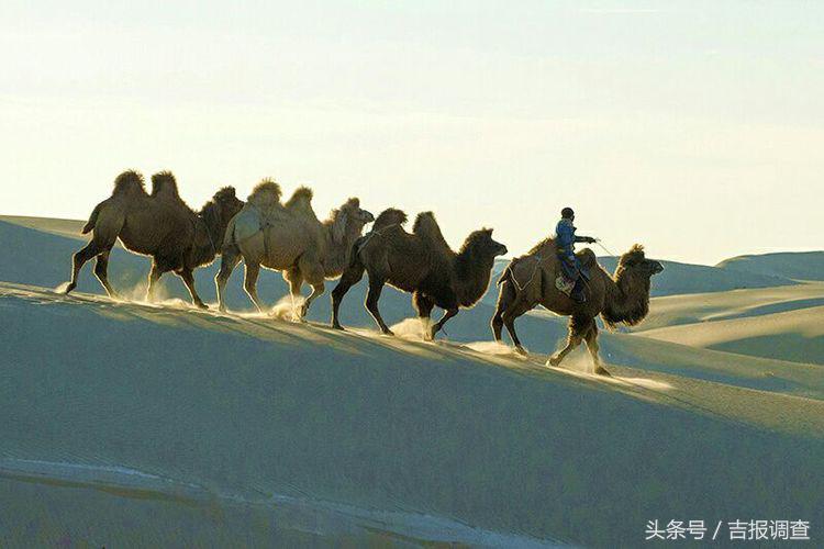 大漠孤烟，黄沙如泻，残阳如血，荒漠之舟在傲视群雄……(图3)