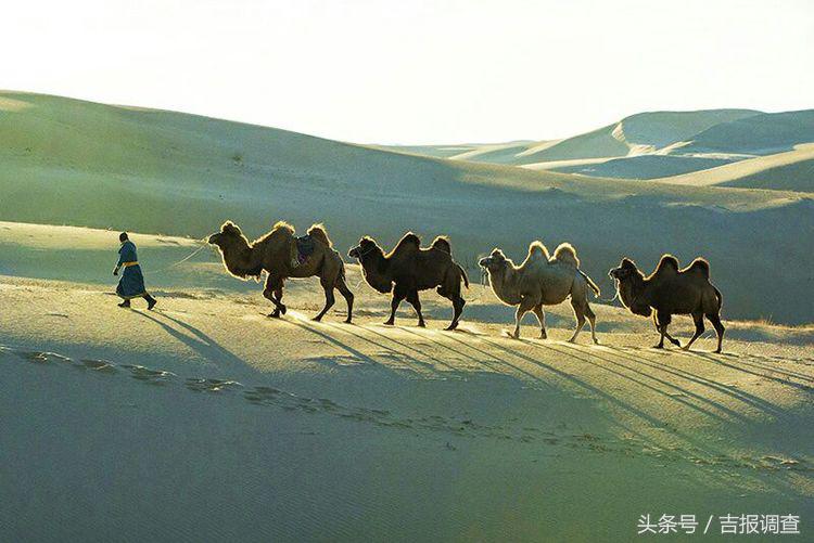 大漠孤烟，黄沙如泻，残阳如血，荒漠之舟在傲视群雄……(图5)