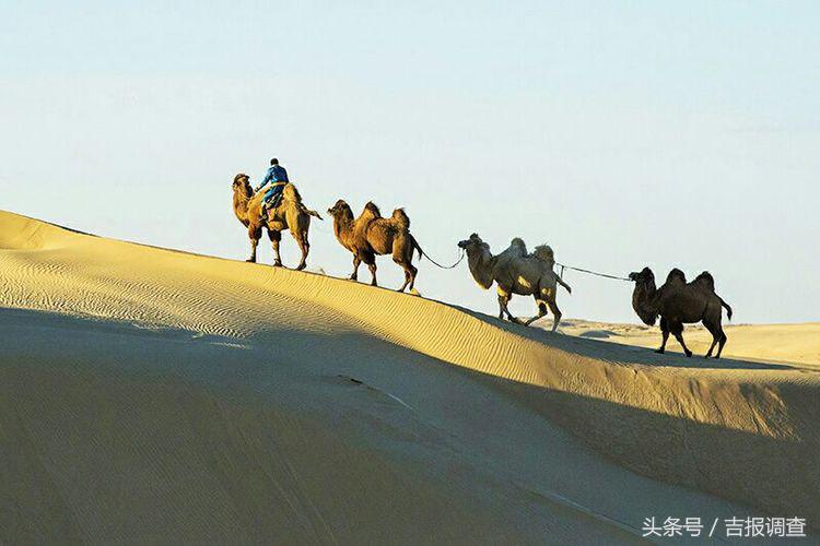 大漠孤烟，黄沙如泻，残阳如血，荒漠之舟在傲视群雄……(图6)