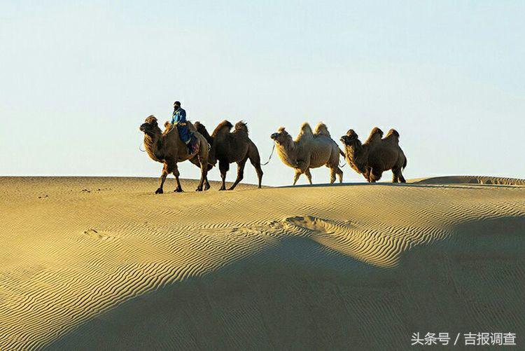 大漠孤烟，黄沙如泻，残阳如血，荒漠之舟在傲视群雄……(图9)