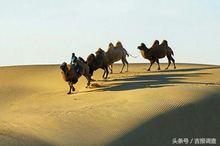 大漠孤烟，黄沙如泻，残阳如血，荒漠之舟在傲视群雄……(图10)