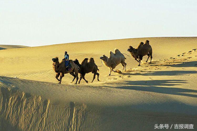 大漠孤烟，黄沙如泻，残阳如血，荒漠之舟在傲视群雄……(图11)