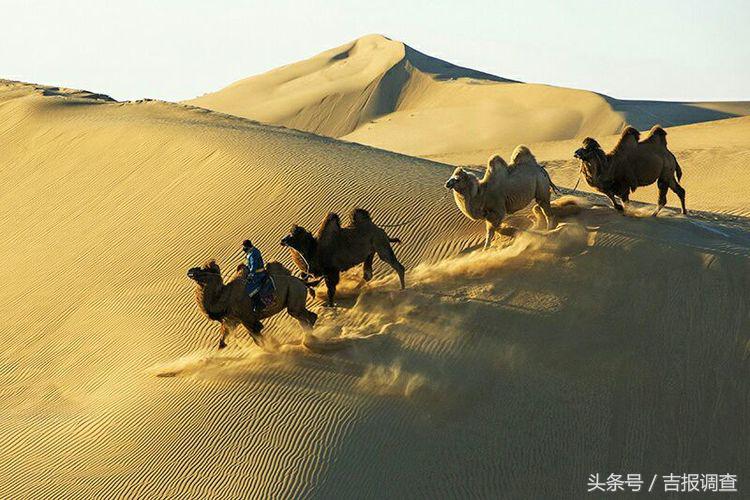 大漠孤烟，黄沙如泻，残阳如血，荒漠之舟在傲视群雄……(图12)