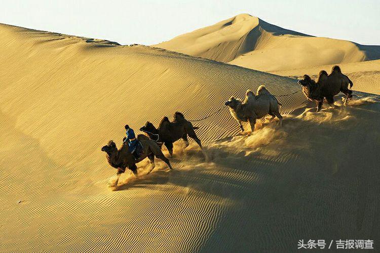 大漠孤烟，黄沙如泻，残阳如血，荒漠之舟在傲视群雄……(图13)