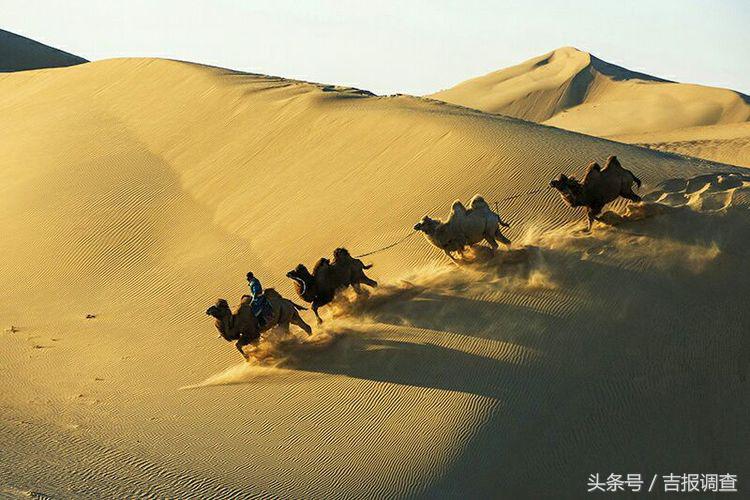 大漠孤烟，黄沙如泻，残阳如血，荒漠之舟在傲视群雄……(图14)