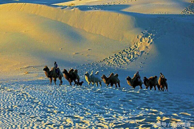 大漠孤烟，黄沙如泻，残阳如血，荒漠之舟在傲视群雄……(图17)