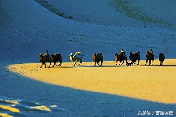 大漠孤烟，黄沙如泻，残阳如血，荒漠之舟在傲视群雄……(图19)