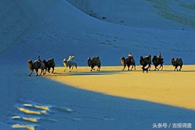 大漠孤烟，黄沙如泻，残阳如血，荒漠之舟在傲视群雄……(图20)