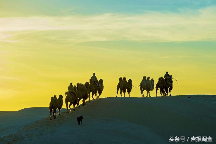 大漠孤烟，黄沙如泻，残阳如血，荒漠之舟在傲视群雄……(图21)