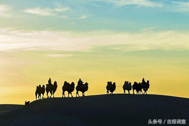 大漠孤烟，黄沙如泻，残阳如血，荒漠之舟在傲视群雄……(图22)