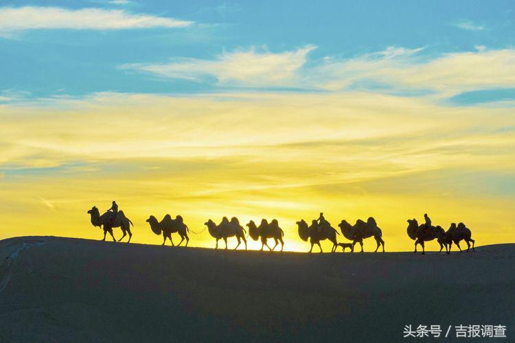 大漠孤烟，黄沙如泻，残阳如血，荒漠之舟在傲视群雄……(图25)