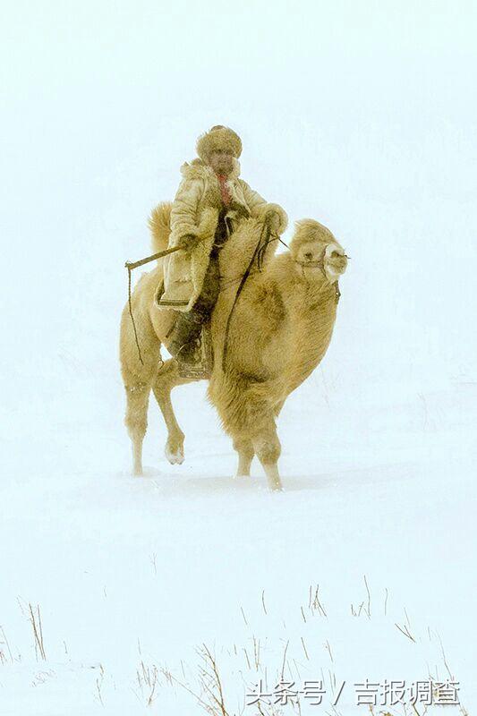 大漠孤烟，黄沙如泻，残阳如血，荒漠之舟在傲视群雄……(图26)