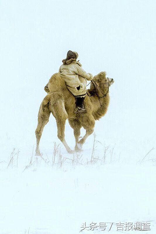 大漠孤烟，黄沙如泻，残阳如血，荒漠之舟在傲视群雄……(图27)