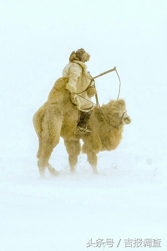大漠孤烟，黄沙如泻，残阳如血，荒漠之舟在傲视群雄……(图28)