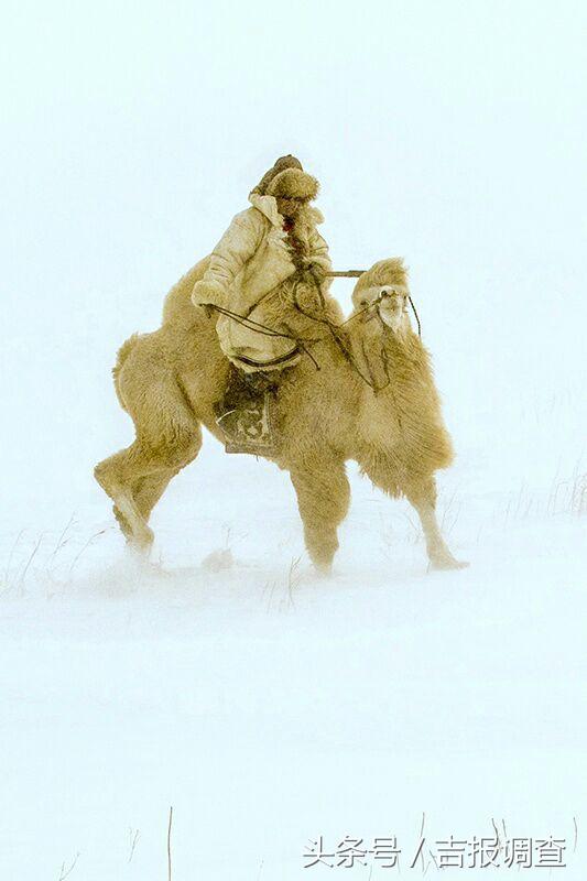 大漠孤烟，黄沙如泻，残阳如血，荒漠之舟在傲视群雄……(图29)