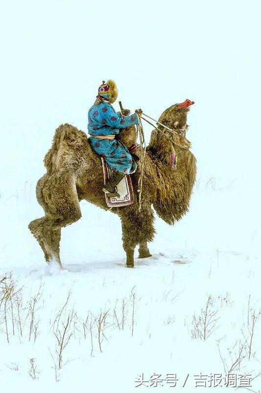 大漠孤烟，黄沙如泻，残阳如血，荒漠之舟在傲视群雄……(图30)