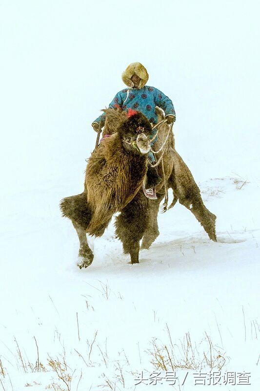 大漠孤烟，黄沙如泻，残阳如血，荒漠之舟在傲视群雄……(图32)