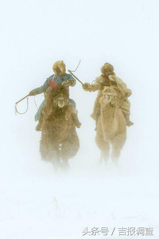 大漠孤烟，黄沙如泻，残阳如血，荒漠之舟在傲视群雄……(图34)