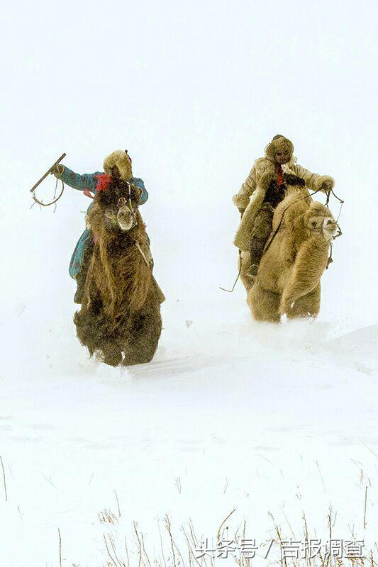 大漠孤烟，黄沙如泻，残阳如血，荒漠之舟在傲视群雄……(图36)