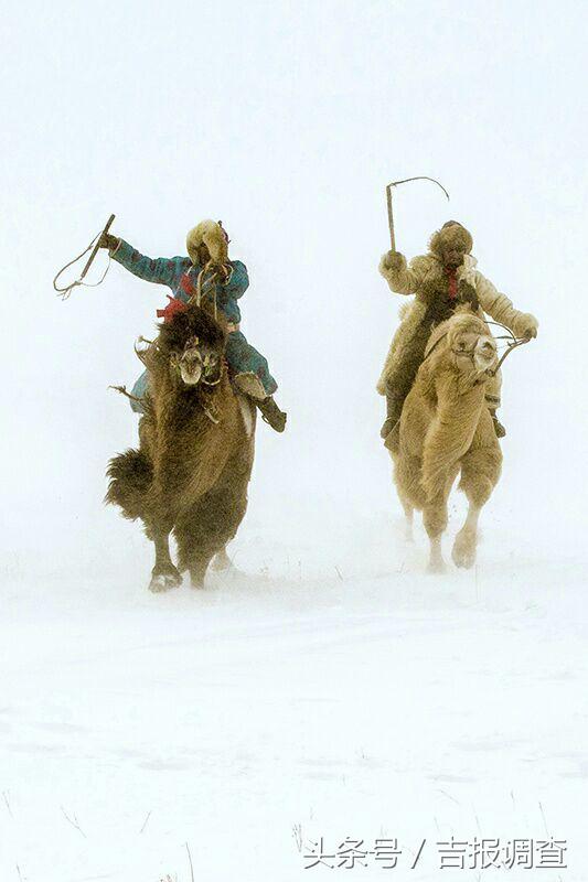 大漠孤烟，黄沙如泻，残阳如血，荒漠之舟在傲视群雄……(图37)