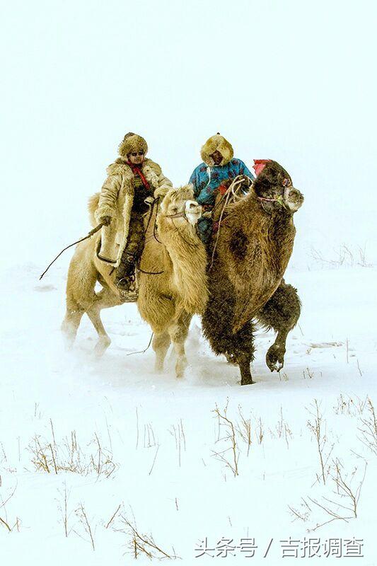 大漠孤烟，黄沙如泻，残阳如血，荒漠之舟在傲视群雄……(图39)