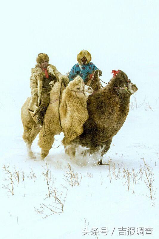 大漠孤烟，黄沙如泻，残阳如血，荒漠之舟在傲视群雄……(图40)