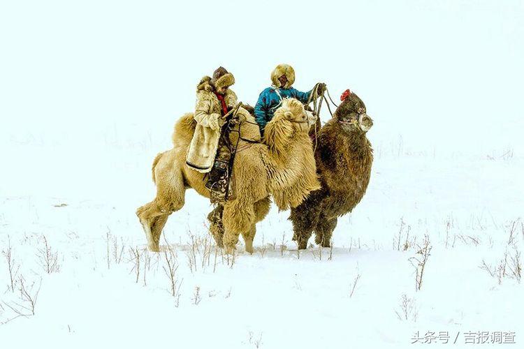 大漠孤烟，黄沙如泻，残阳如血，荒漠之舟在傲视群雄……(图41)