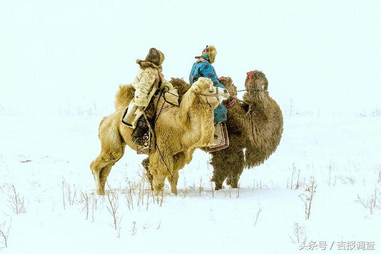 大漠孤烟，黄沙如泻，残阳如血，荒漠之舟在傲视群雄……(图42)