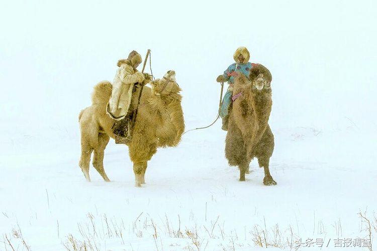 大漠孤烟，黄沙如泻，残阳如血，荒漠之舟在傲视群雄……(图44)