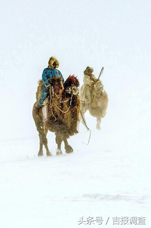 大漠孤烟，黄沙如泻，残阳如血，荒漠之舟在傲视群雄……(图45)