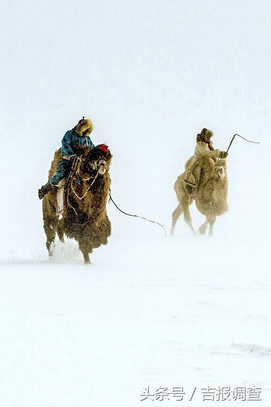 大漠孤烟，黄沙如泻，残阳如血，荒漠之舟在傲视群雄……(图46)