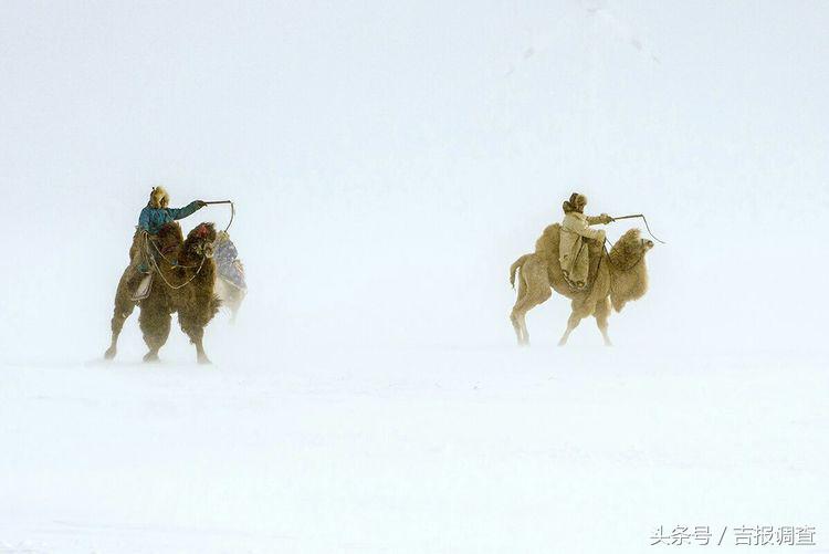 大漠孤烟，黄沙如泻，残阳如血，荒漠之舟在傲视群雄……(图49)