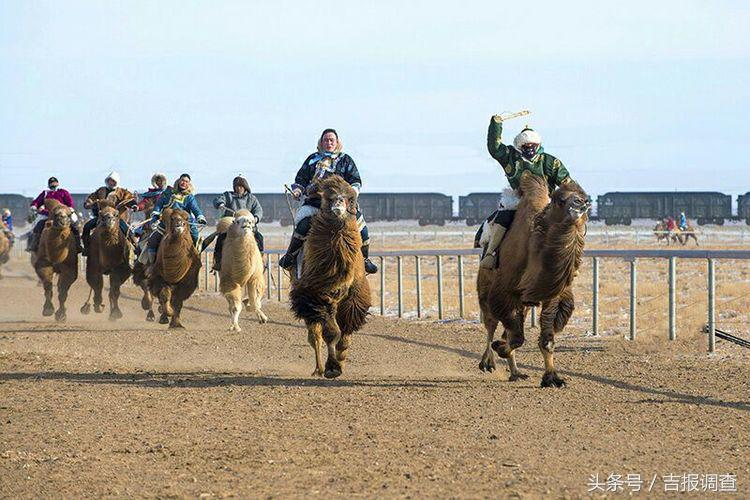 大漠孤烟，黄沙如泻，残阳如血，荒漠之舟在傲视群雄……(图58)