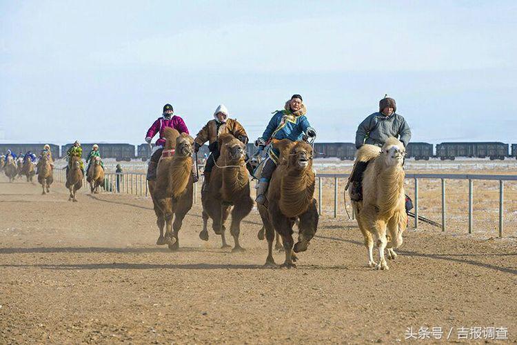 大漠孤烟，黄沙如泻，残阳如血，荒漠之舟在傲视群雄……(图59)
