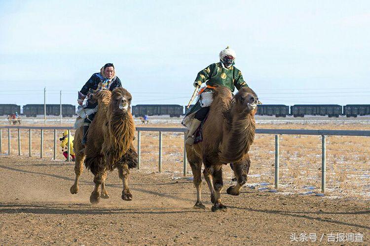 大漠孤烟，黄沙如泻，残阳如血，荒漠之舟在傲视群雄……(图60)